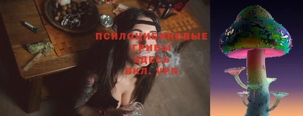 apvp Мегион