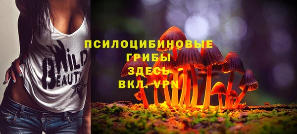 прущие грибы Алагир
