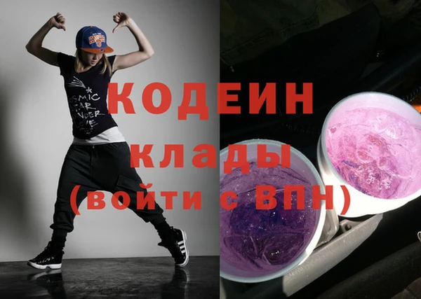 прущие грибы Алагир