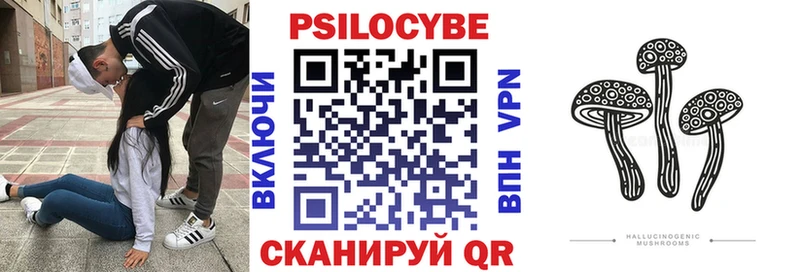 OMG цены Юрьев-Польский Псилоцибиновые грибы Psilocybe